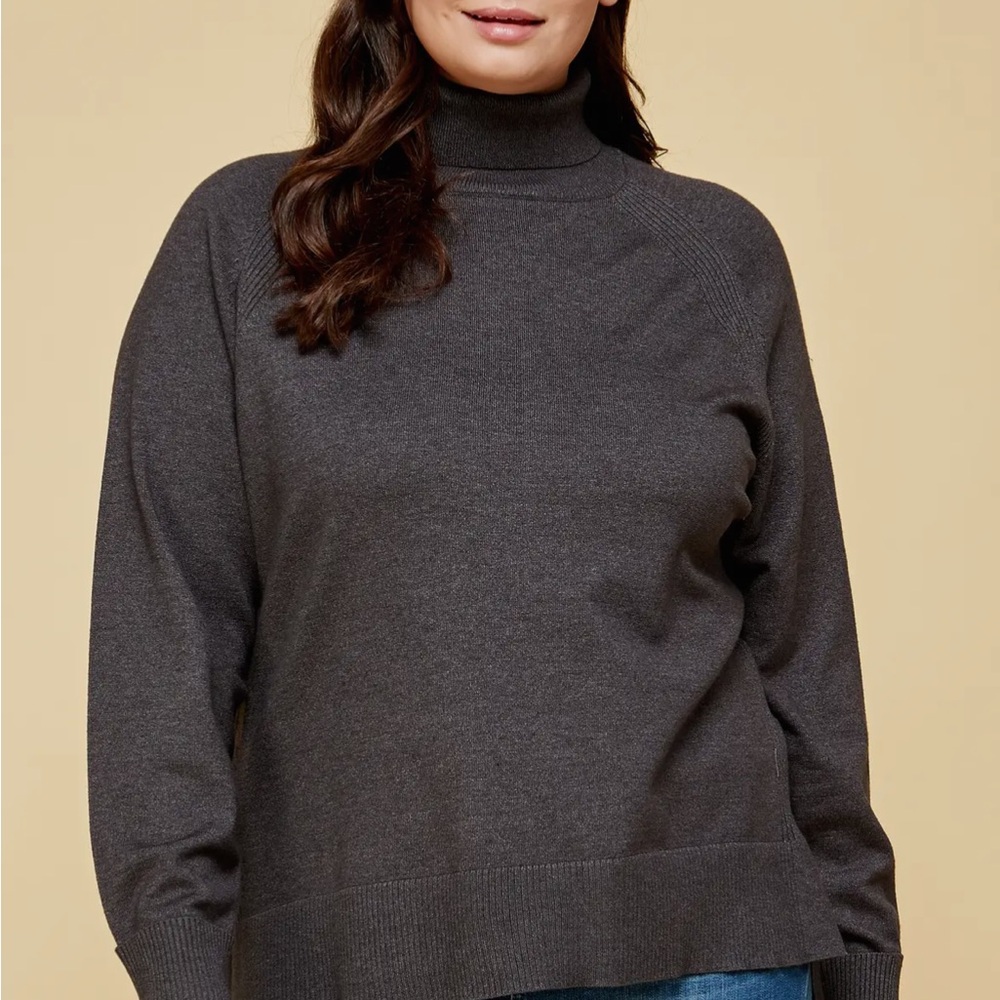 Plus Size Turtleneck Solid Sweater - image 3